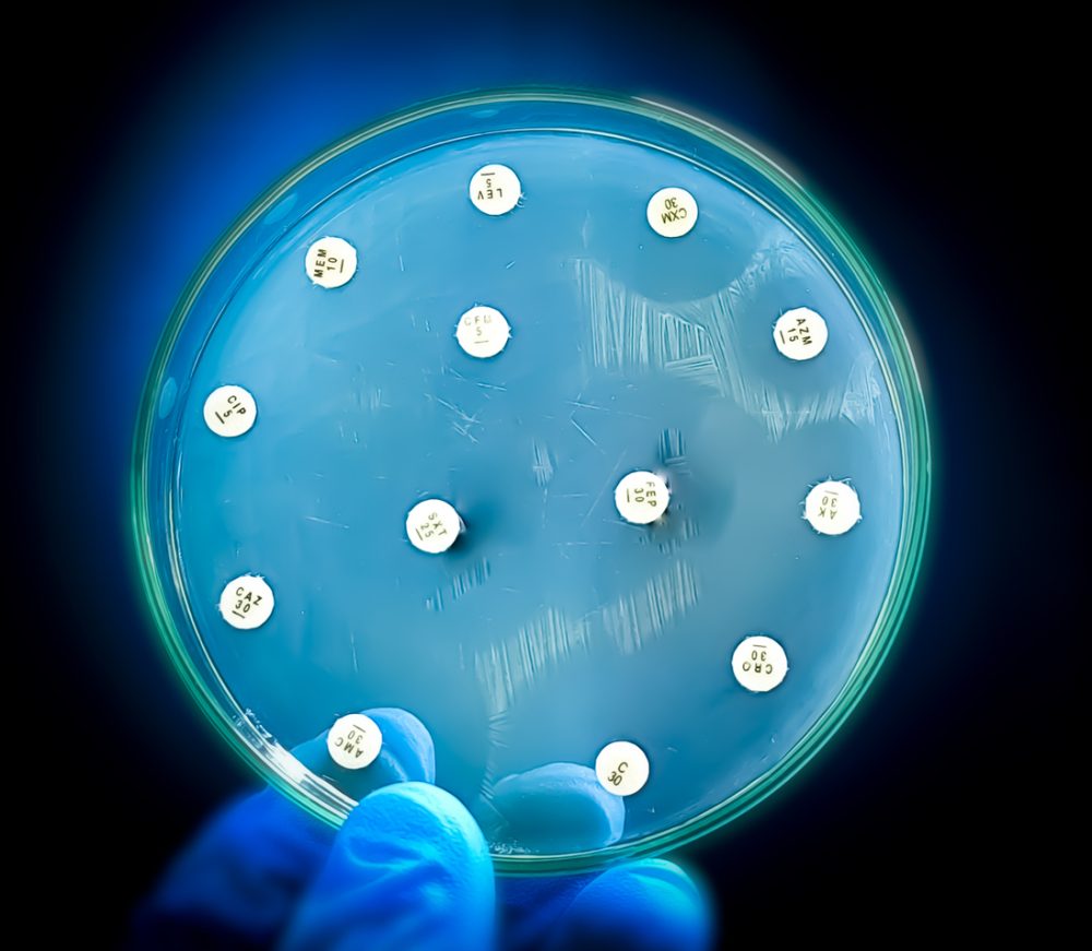 Antimicrobial susceptibility testing in petri dish